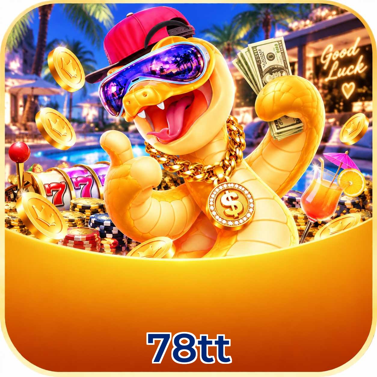 78tt VIP Program